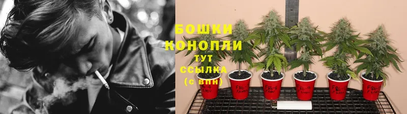 купить  цена  Кинель  Бошки марихуана LSD WEED 